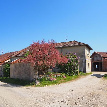Le Gite Du Haut Châtillon-la-Palud Exterior foto